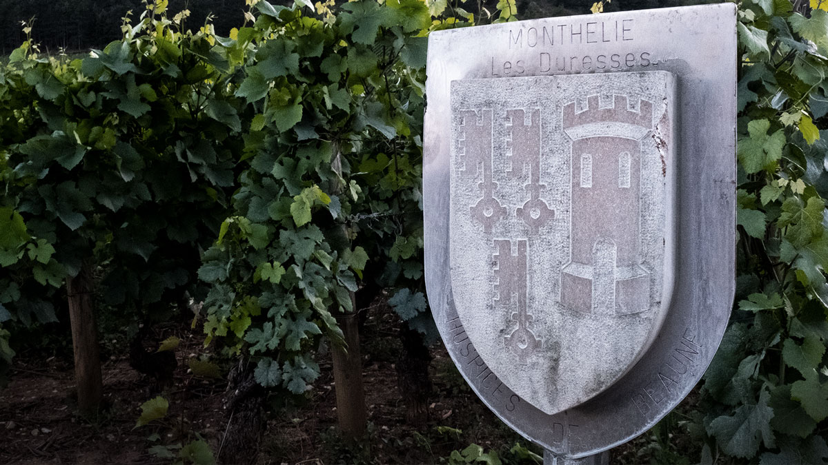 appellation-panneau-monthelie-vin-bourgogne