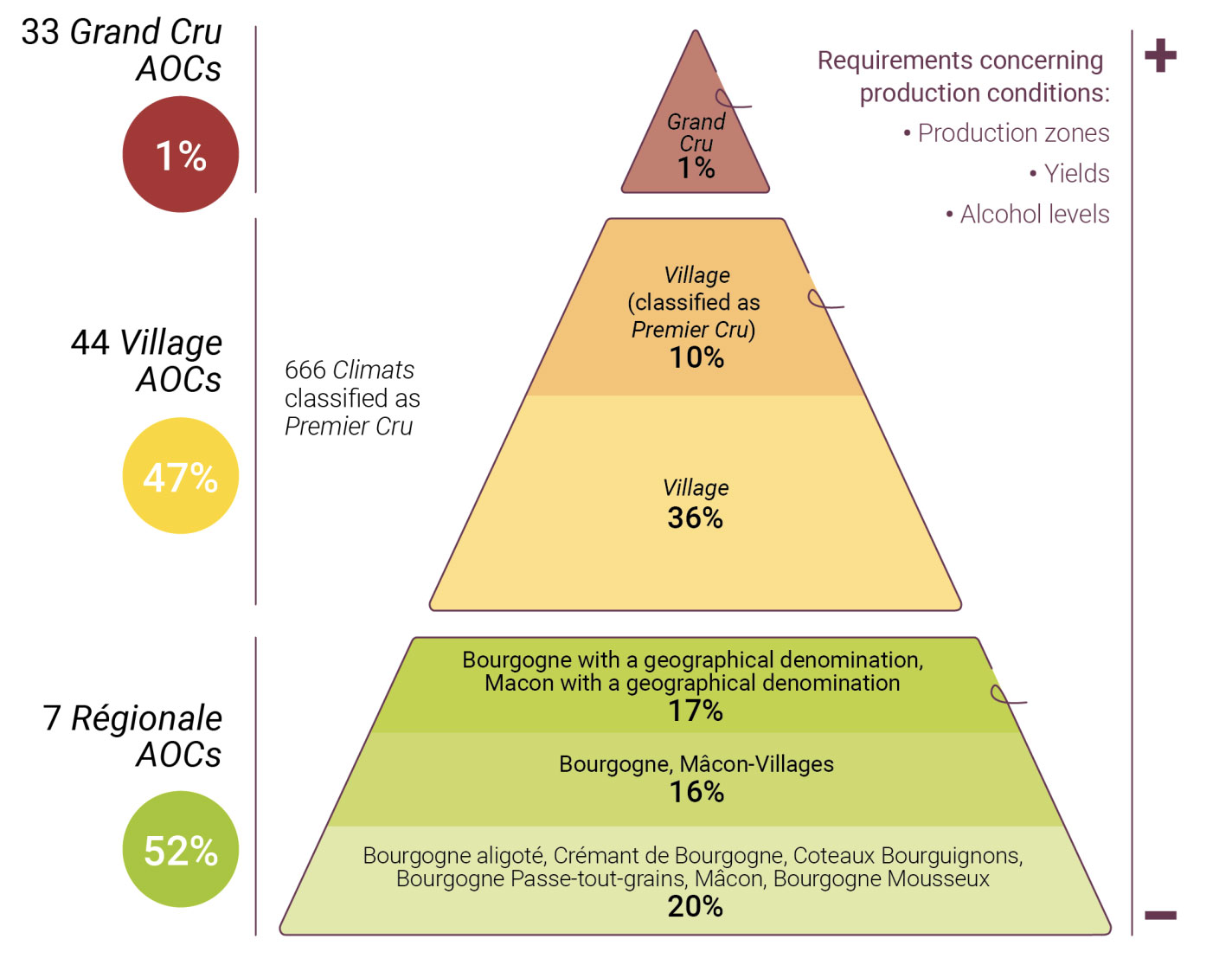 The pyramid of appellations of Bourgogne wines
